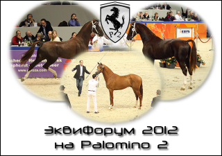  2012  Palomino 2!