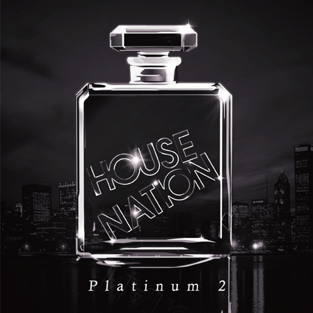VA - House Nation: Platinum 2 (2012) 
