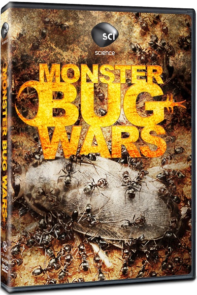Discovery Channel - Monster Bug Wars 5of5 When Tribes Go to War (2011) DVDRip XviD AC3-MVGroup