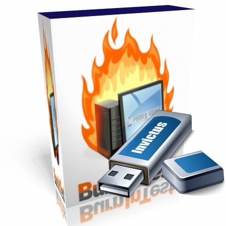 PassMark BurnInTest Professional 7.0 Build 1010 Portable