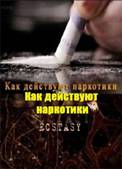 :   .  / How drugs work. Ecstasy (2011) HDTVRip