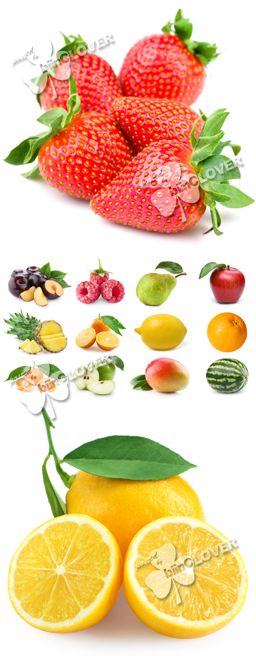 Set of fresh fruit 0131