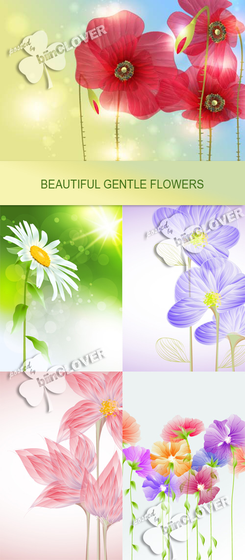 Beautiful gentle flowers 0133