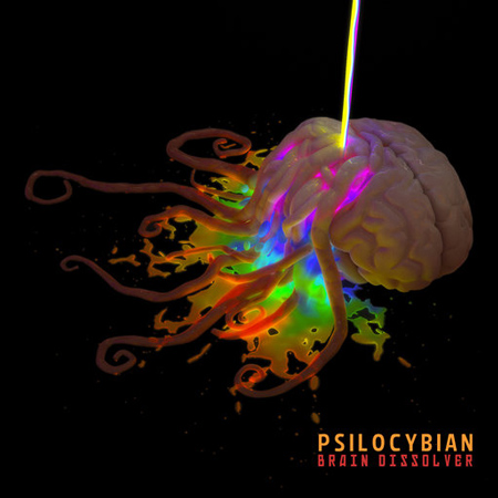Psilocybian - Brain Dissolver (2012) 