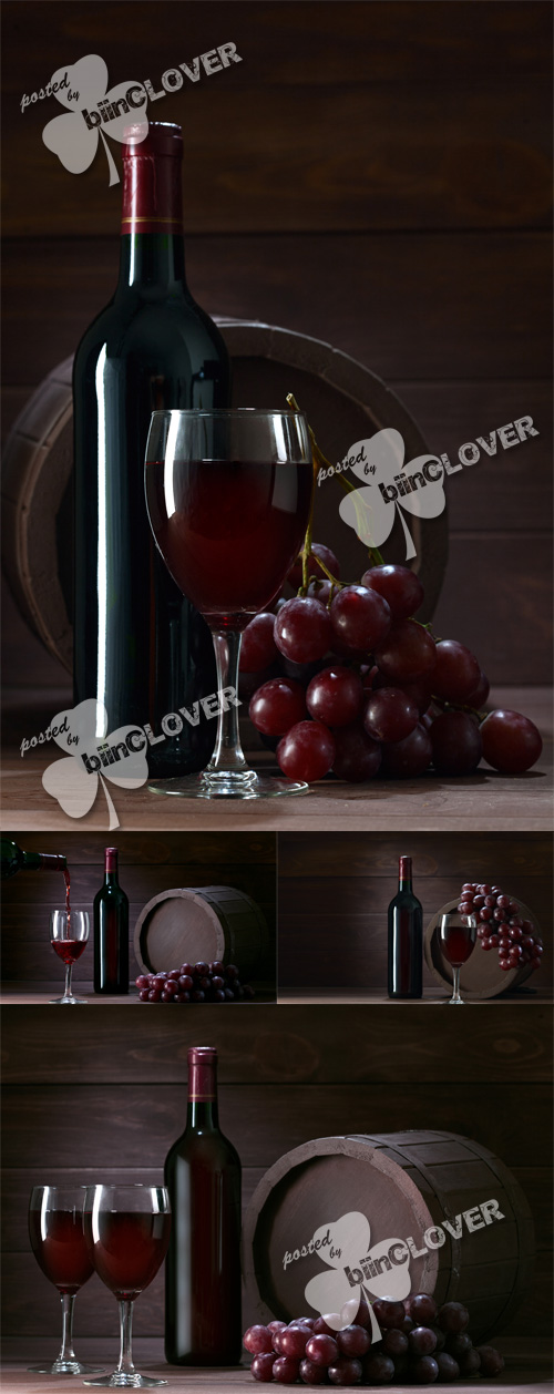 Composition of wine bottle 0142