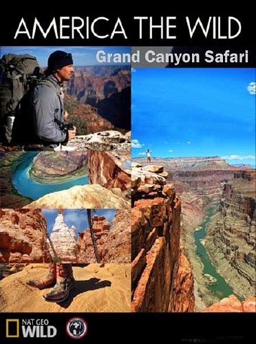  :   - / America the wild Grand Canyon Safari (2011) HDTVRip