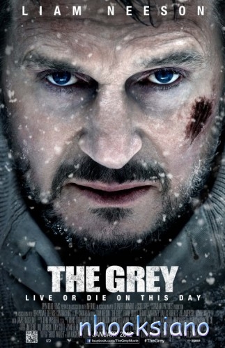 The Grey (2011) DVDRip x264 AAC - BINGOWINGZ (UKB - RG)