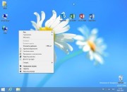 Windows 8 Professional x86 & Office 2013 Vannza v.0.1 (2013/Rus)