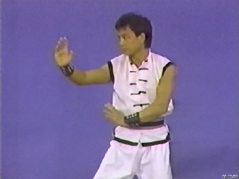 Овладение Хун Гар Кунг-фу. Техника поединка (1987) DVDRip