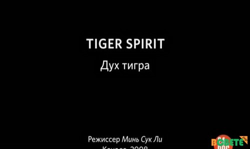   / Tiger spirit