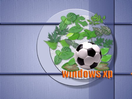  - Windows XP