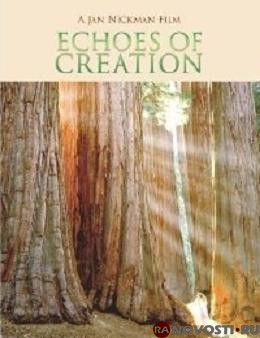 Отзвуки Творения / Echoes of Creation