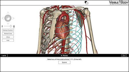 Visible Body 3d Human Anatomy Atlas For Windows Crack Activation