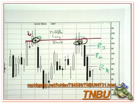 Trading With Candlestick Charts Pdf
