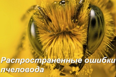 Распространенные ошибки пчеловода(2012)