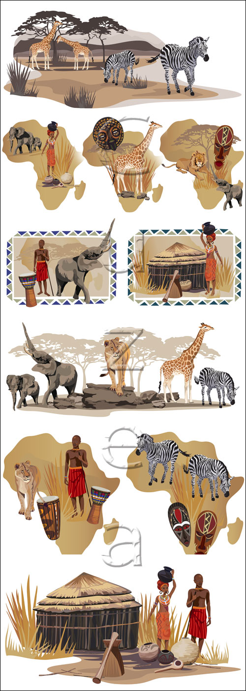     / African animals - vector stock