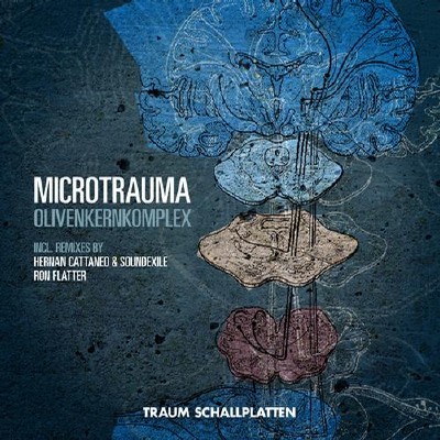 Microtrauma  Olivenkernkomplex EP