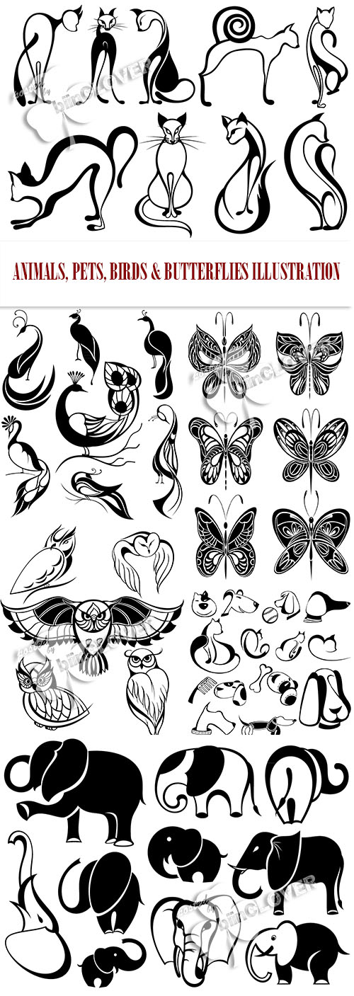 Animals, pets, birds and butterflies illustration 0464