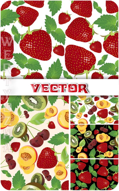      , , ,  / Vector background with fruits