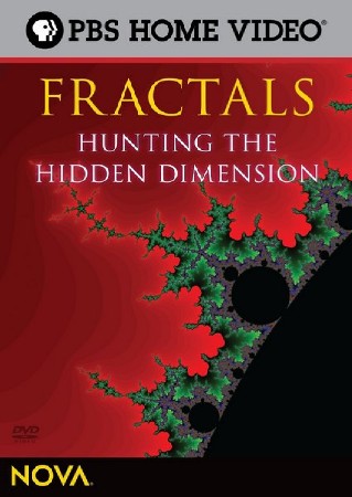 :    / Fractals. Hunting the Hidden Dimension (2008) DVB