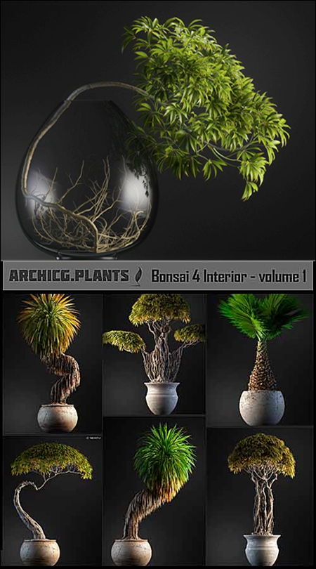 ArchiCG Plants Bonsai 4 Interior Volume 01