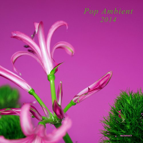 VA - Pop Ambient 2014 (2014) FLAC