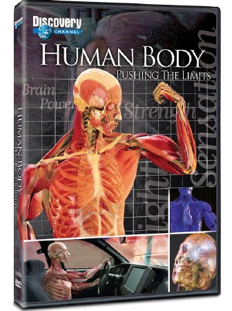 Discovery:  :   (4   4) / Human body: Pushing the limits (2008) BDRip (AVC)