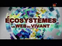 .   (13   13) / Ecosystemes le Web du Vivant (2001) SATRip