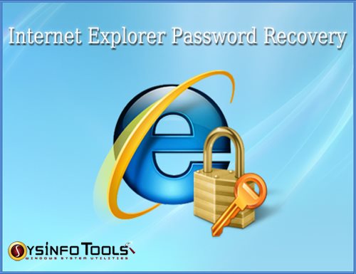 SysInfoTools Internet Explorer Password Recovery 03.10.01 Portable