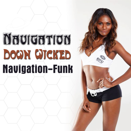 Navigation: Down Wicked Funk (2014)