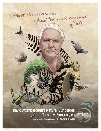  .    (5   5) / David Attenborough's. Natural Curiosities (2012) SATRip (AVC)
