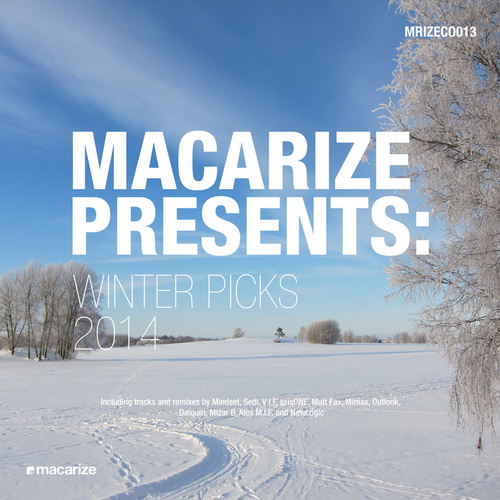 VA - Macarize Presents: Winter Picks 2014 (2014)