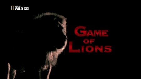 Игры львов / Game of Lions (2013) HDTV 1080i