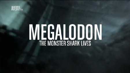 -:   / Megalodon: The Monster Shark (2013) HDTV 1080i