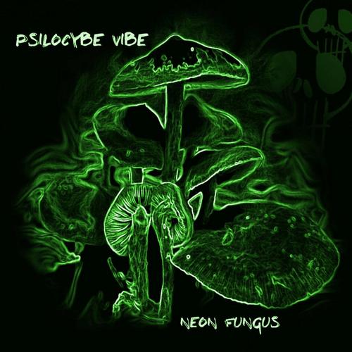 Psilocybe Vibe - Neon Fungus (2013) FLAC