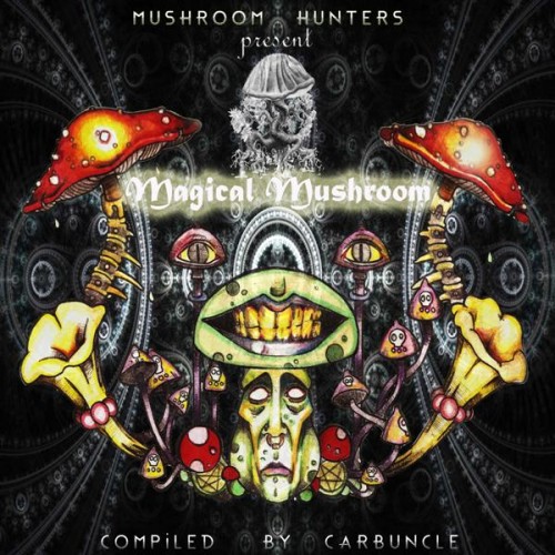 VA - Magical Mushroom (2013) FLAC