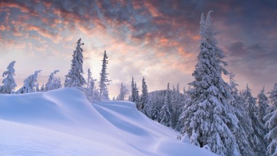 Природа. 50 чудесных фотокартин на тему "Времена года. Зима" [1920х1080] 50 шт.