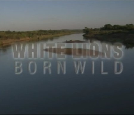    / White Lions - Born Wild (2012) DVB
