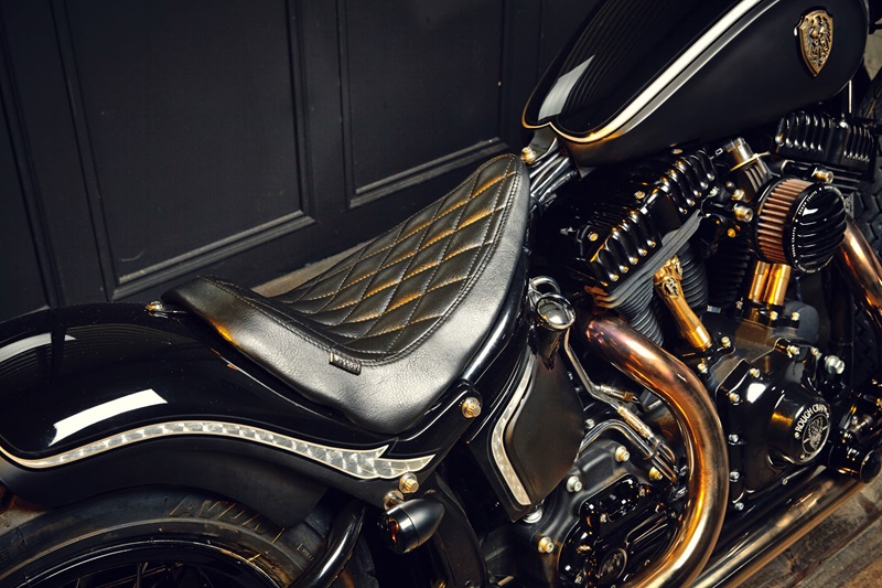 Кастом Rough Crafts Crowned Stallion на базе Harley-Davidson Softail Slim