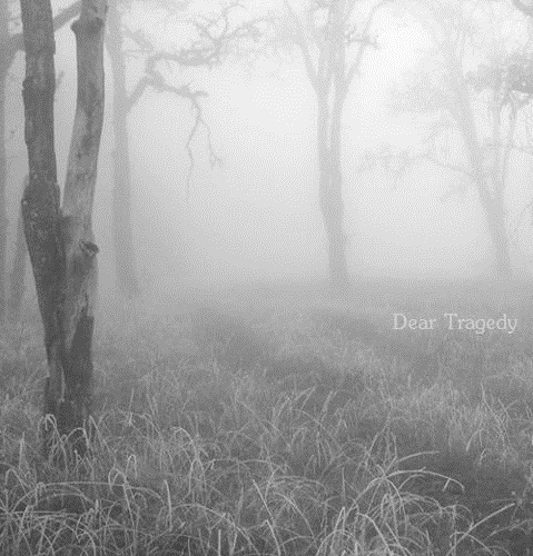 Dear Tragedy - Everything I Could Never Tell You (EP) (2014)