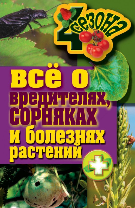 http://i33.fastpic.ru/big/2014/0331/93/dd3f214eabdb6f3d1a442b7b5cff3493.jpg