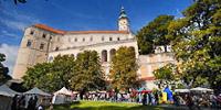 Чехия: в Микулове пройдет праздник сбора винограда