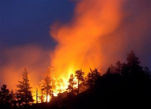 Пожары в Хорватии - где что горит