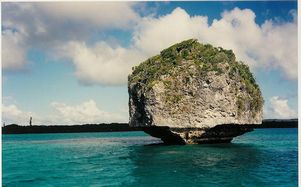 Список ЮНЕСКО пополнили рифы Новой Каледонии