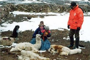 В Перу из-за холодов объявлено чрезвычайное положение