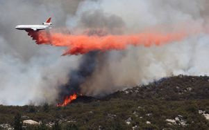 Лесные пожары добрались до курортов Турции