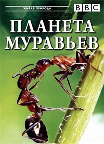  .   / Planet Ant: Life Inside The Colony (2012) HDTVRip 720p