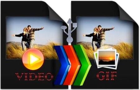 ThunderSoft Video to GIF Converter 1.3.1
