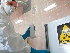 В России зафиксированы первые случаи смерти от «свиного гриппа»