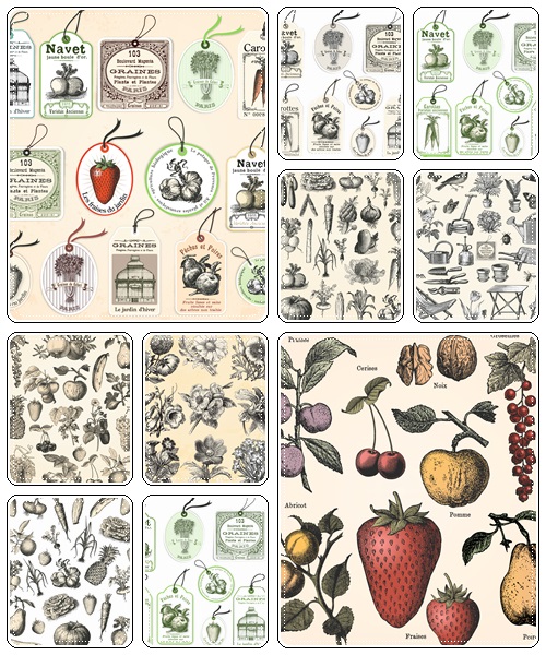 Fruit and vegetables in vintage style - vector stock
